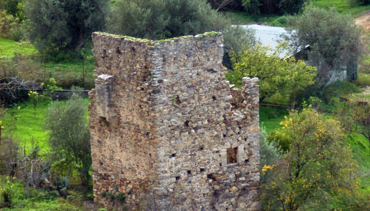 1 Visione d'insieme nov. 2010